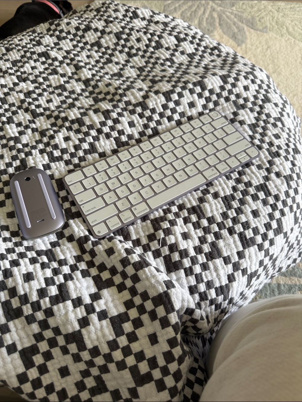 Apple Silver and White Wireless Keyboard with Matching Mouse